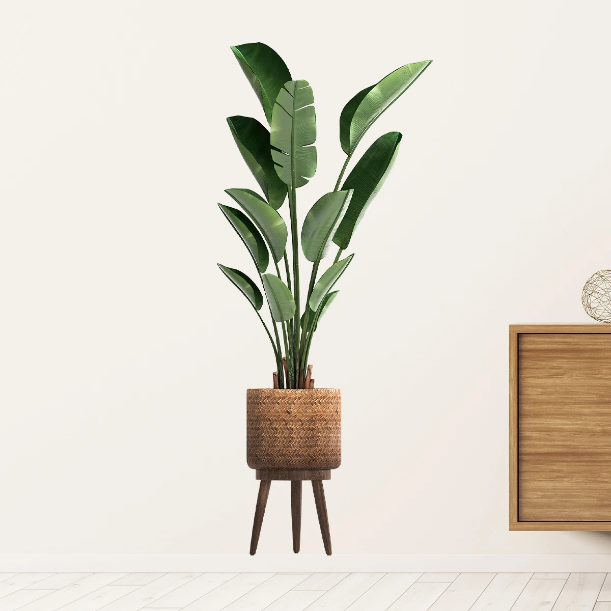 Имитация зеленого растения, де – обзор и цена Office Furniture Design