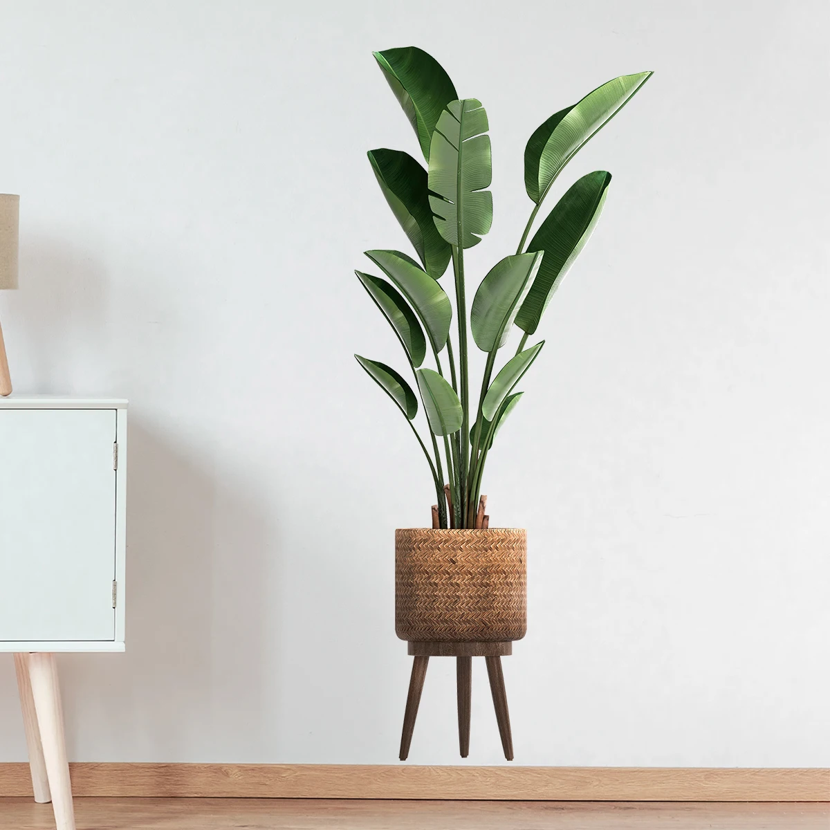 Имитация зеленого растения, де – обзор и цена Office Furniture Design